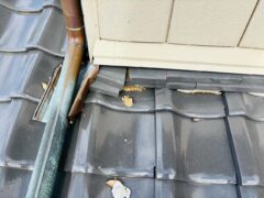 2025.11.11🏡屋根の異変、もしかして害獣の仕業かも？